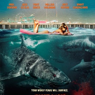 Jersey Shore Shark Attack Picture 1