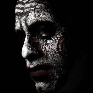 Jigsaw Picture 14