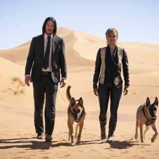 Keanu Reeves stars as John Wick and Halle Berry stars as Sofia in Summit Entertainment's John Wick: Chapter 3 - Parabellum (2019)
