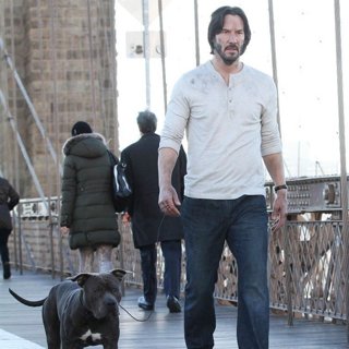 John Wick: Chapter 2 Picture 8