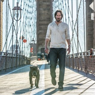 Keanu Reeves stars as John Wick in Summit Entertainment's John Wick: Chapter 2 (2017)