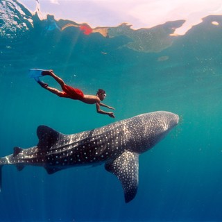 Journey To The South Pacific Picture 1