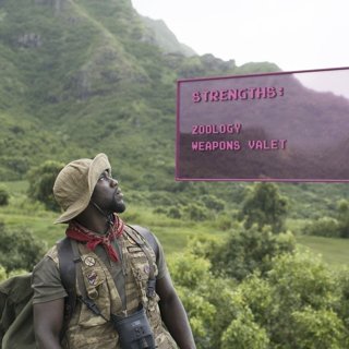 Jumanji: Welcome To The Jungle Picture 34