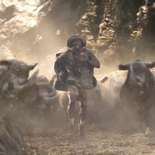 Jumanji: Welcome To The Jungle Picture 42