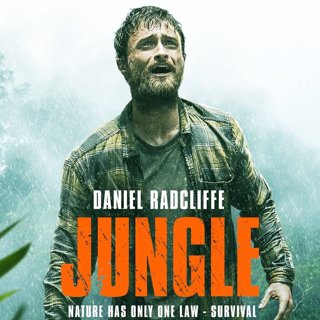 Jungle Picture 3