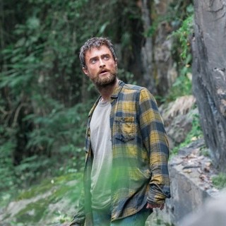Jungle Picture 1