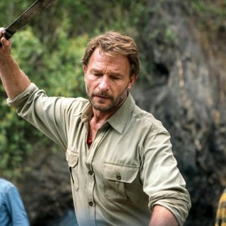 Jungle Picture 4