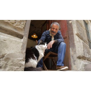Kedi Picture 1