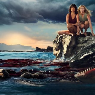 Killer Whale Picture 1