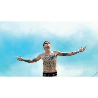 King Of Staten Island, The Picture 1