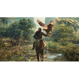 Kingdom Of The Planet Of The Apes Picture 4