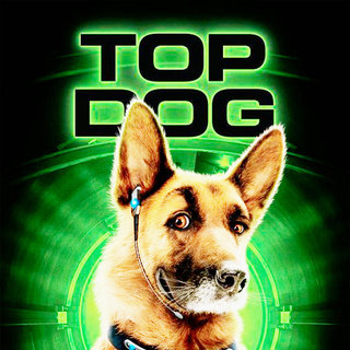 Cats & Dogs: The Revenge Of Kitty Galore Picture 5
