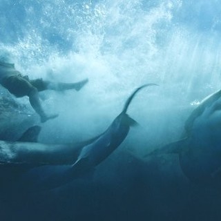 Kon-Tiki Picture 7