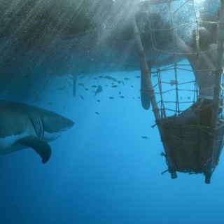 Kon-Tiki Picture 9