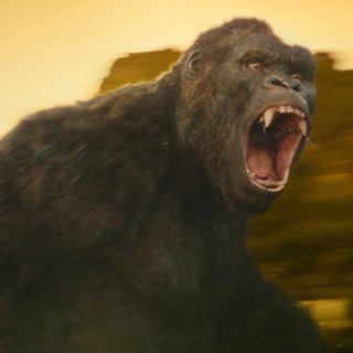 Kong: Skull Island Picture 35
