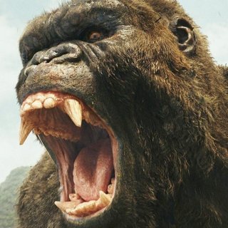 Kong: Skull Island Picture 42