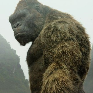 Kong: Skull Island Picture 50