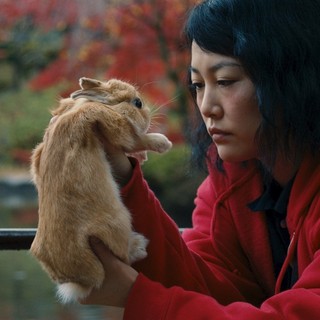 Rinko Kikuchi stars as Kumiko in Amplify's Kumiko, the Treasure Hunter (2015)