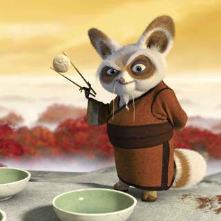 Kung Fu Panda Picture 5