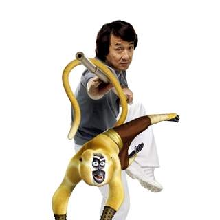 Kung Fu Panda Picture 20