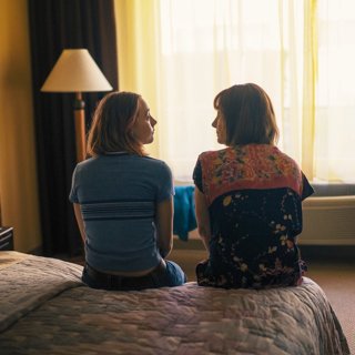 Lady Bird Picture 14