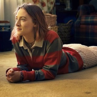 Lady Bird Picture 10
