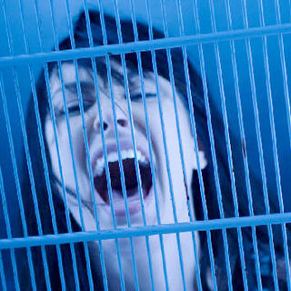 Bobbi Sue Luther stars as The Girl in Anchor Bay Entertainment's Laid to Rest (2009)