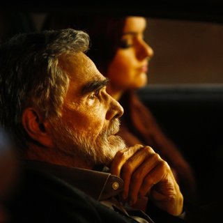 Last Movie Star, The Picture 2