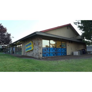Last Blockbuster, The (2020)