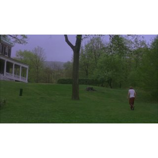 Last Days Picture 9