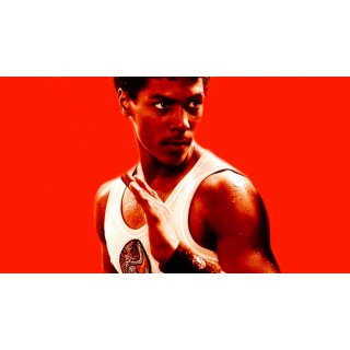 Last Dragon, The Picture 5