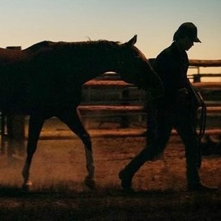 Lean On Pete Picture 2