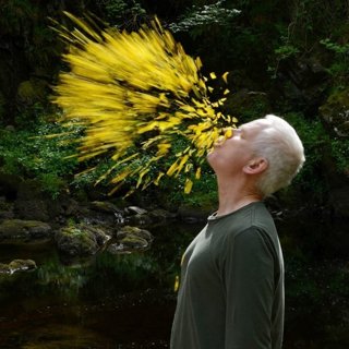 Andy Goldsworthy in Magnolia Pictures' Leaning Into the Wind (2018)