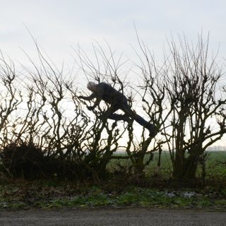 Andy Goldsworthy in Magnolia Pictures' Leaning Into the Wind (2018)