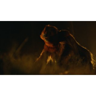 Legend Of Ochi, The Picture 10