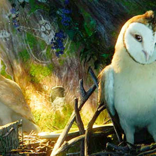 Legend Of The Guardians: The Owls Of Ga'Hoole Picture 3