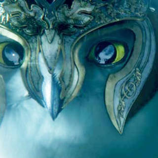 Legend of the Guardians: The Owls of Ga'Hoole Picture 5