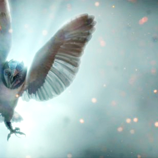 Legend Of The Guardians: The Owls Of Ga'Hoole Picture 7