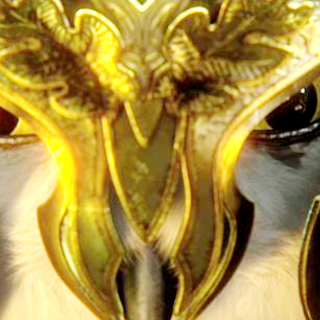 Legend Of The Guardians: The Owls Of Ga'Hoole Picture 10