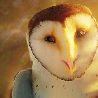 Legend Of The Guardians: The Owls Of Ga'Hoole Picture 11