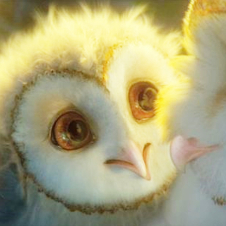 Legend Of The Guardians: The Owls Of Ga'Hoole Picture 12