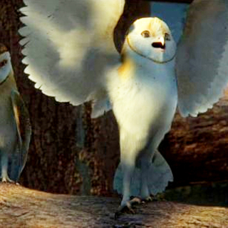Legend Of The Guardians: The Owls Of Ga'Hoole Picture 14