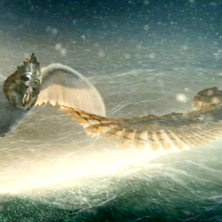 Legend Of The Guardians: The Owls Of Ga'Hoole Picture 15