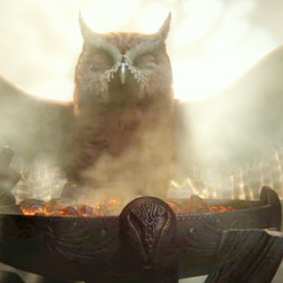 Legend of the Guardians: The Owls of Ga'Hoole Picture 16
