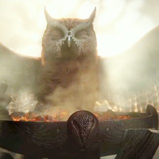 Legend Of The Guardians: The Owls Of Ga'Hoole Picture 16