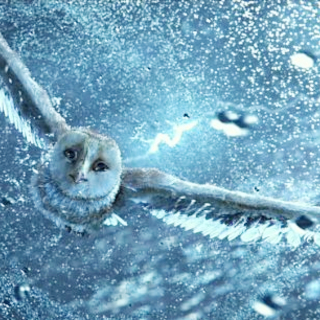 Legend of the Guardians: The Owls of Ga'Hoole Picture 7