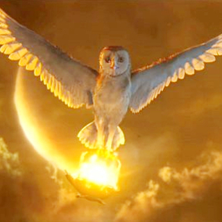 Legend Of The Guardians: The Owls Of Ga'Hoole Picture 19