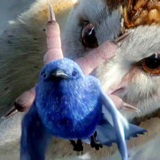 Legend Of The Guardians: The Owls Of Ga'Hoole Picture 23