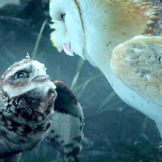 Legend Of The Guardians: The Owls Of Ga'Hoole Picture 24