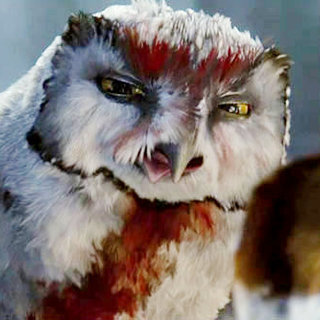 Legend Of The Guardians: The Owls Of Ga'Hoole Picture 25